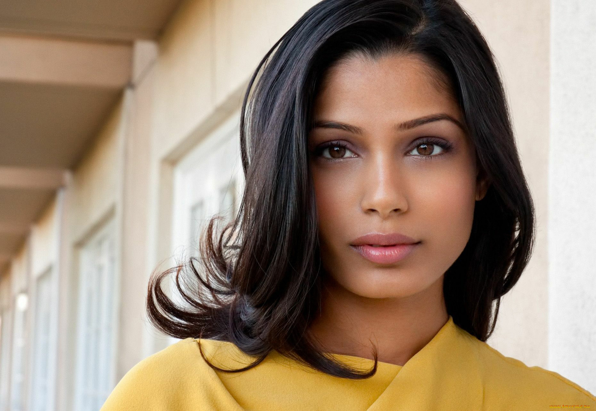 freida pinto, , freida, pinto, , , , , , , , , , 